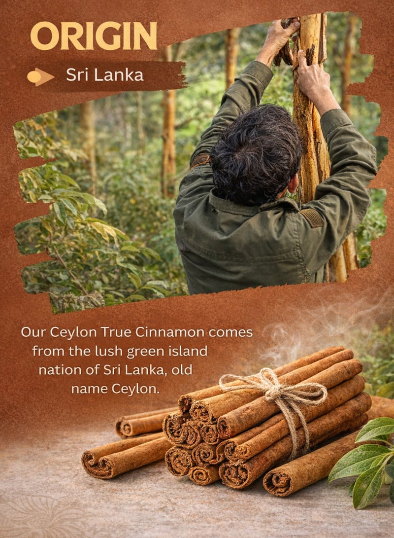 زهر أعواد القرفة السيلانية (قرفة سيلانية) – Cinnamomum verum | لحاء قرفة مجفف طبيعياً تحت أشعة الشمس بنسبة 100% | مادة نباتية فاخرة للاستخدام في البستنة والزراعة ومشاريع الأعشاب والاستخدامات الزخرفية والعطرية. - Image 3